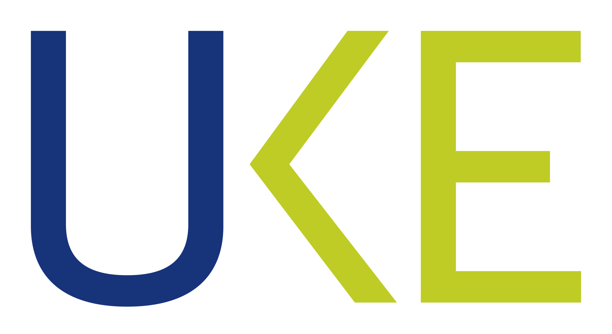 logo wariant podstawowy